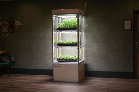 steel grow cabinets|best grow cabinets.